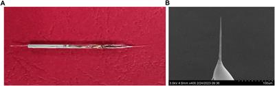 Real-time calcium uptake monitoring of a single renal cancer cell based on an all-solid-state potentiometric microsensor